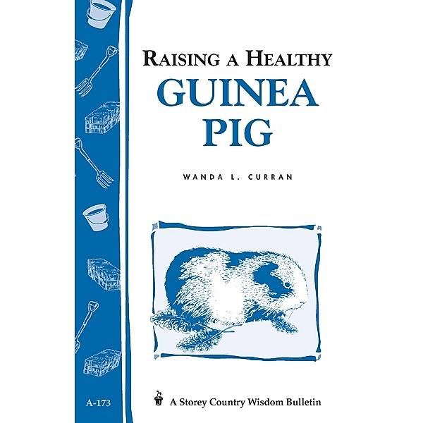Raising a Healthy Guinea Pig / Storey Country Wisdom Bulletin, Wanda L. Curran