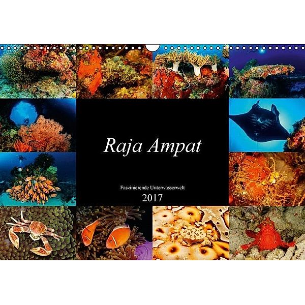 Raja Ampat - Faszinierende Unterwasserwelt (Wandkalender 2017 DIN A3 quer), Martin H. Kraus