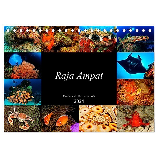 Raja Ampat - Faszinierende Unterwasserwelt (Tischkalender 2024 DIN A5 quer), CALVENDO Monatskalender, Martin H. Kraus