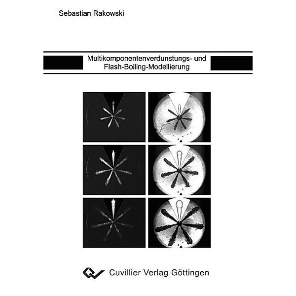 Rakowski, S: Multikomponentenverdunstungs- und Flash-Boiling, Sebastian Rakowski