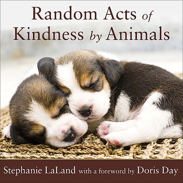 Random Acts of Kindness by Animals / Conari Press, Stephanie Laland