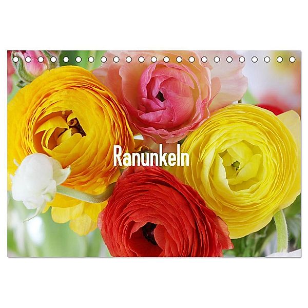 Ranunkeln (Tischkalender 2024 DIN A5 quer), CALVENDO Monatskalender, Gisela Kruse