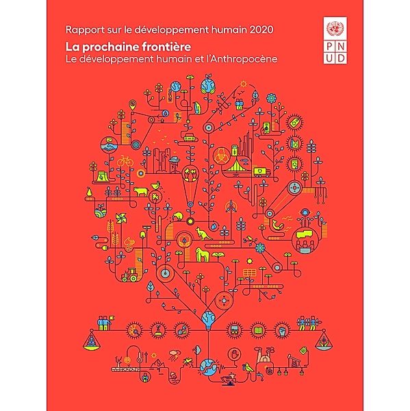 Rapport sur le développement humain 2020