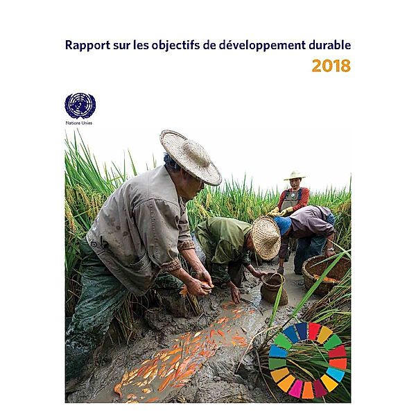 Rapport sur les objectifs de développement durable: Rapport sur les objectifs de développement durable 2018
