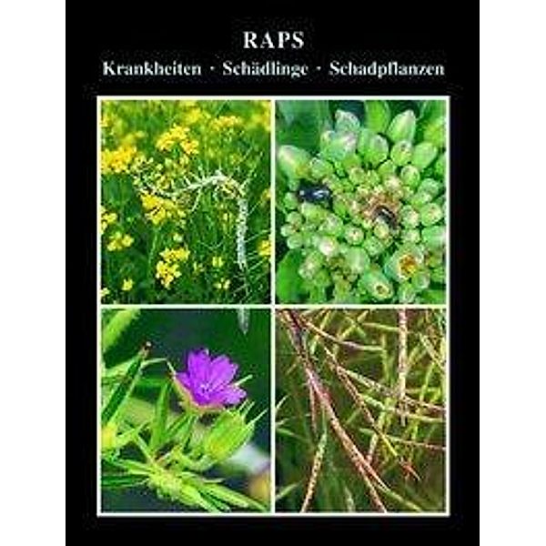 Raps, Volker H. Paul