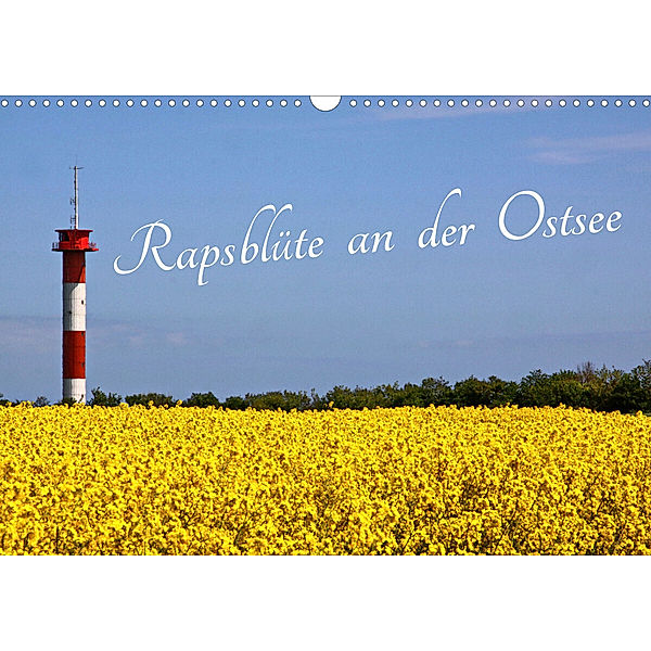 Rapsblüte an der Ostsee (Wandkalender 2023 DIN A3 quer), Rolf Braun