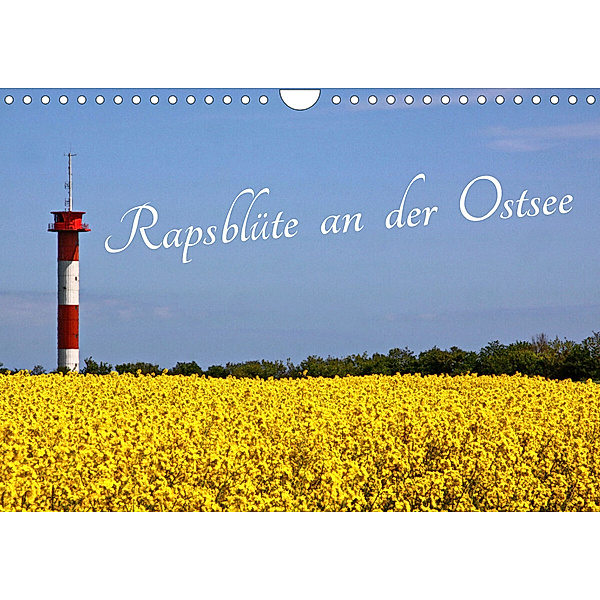 Rapsblüte an der Ostsee (Wandkalender 2023 DIN A4 quer), Rolf Braun