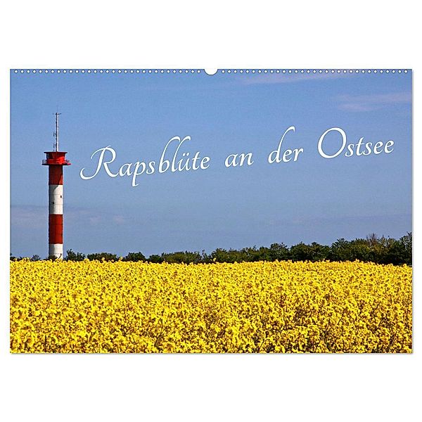 Rapsblüte an der Ostsee (Wandkalender 2024 DIN A2 quer), CALVENDO Monatskalender, Rolf Braun