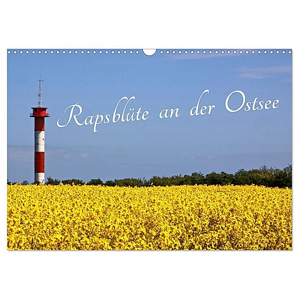 Rapsblüte an der Ostsee (Wandkalender 2024 DIN A3 quer), CALVENDO Monatskalender, Rolf Braun