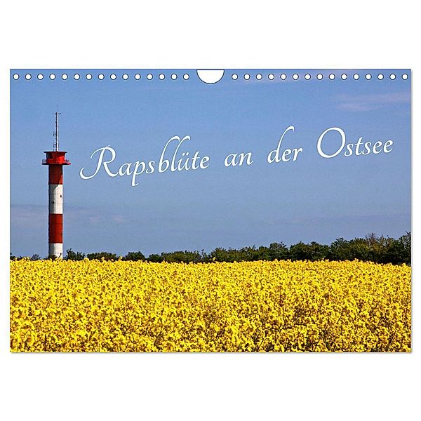Rapsblüte an der Ostsee (Wandkalender 2024 DIN A4 quer), CALVENDO Monatskalender, Rolf Braun