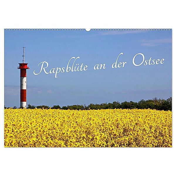 Rapsblüte an der Ostsee (Wandkalender 2025 DIN A2 quer), CALVENDO Monatskalender, Calvendo, Rolf Braun