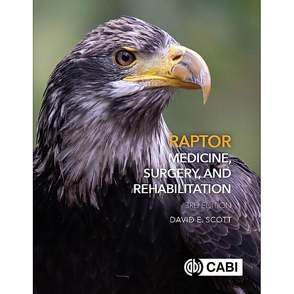 Raptor Medicine, Surgery, and Rehabilitation, David Scott