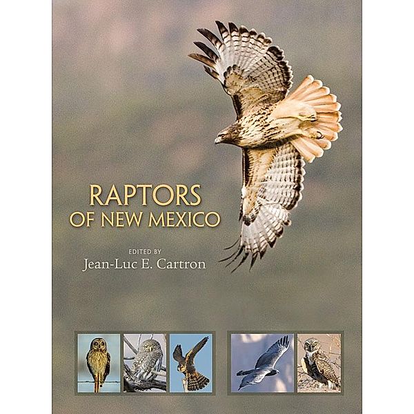 Raptors of New Mexico