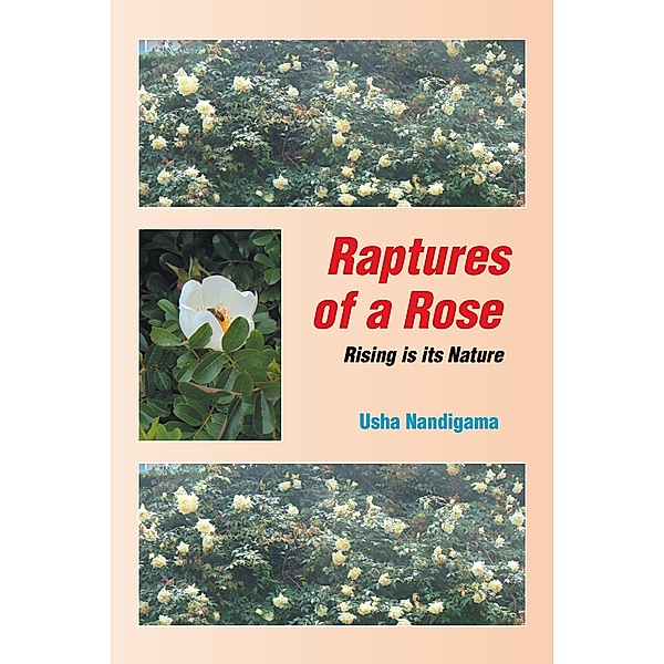 Raptures of a Rose, Usha Nandigama