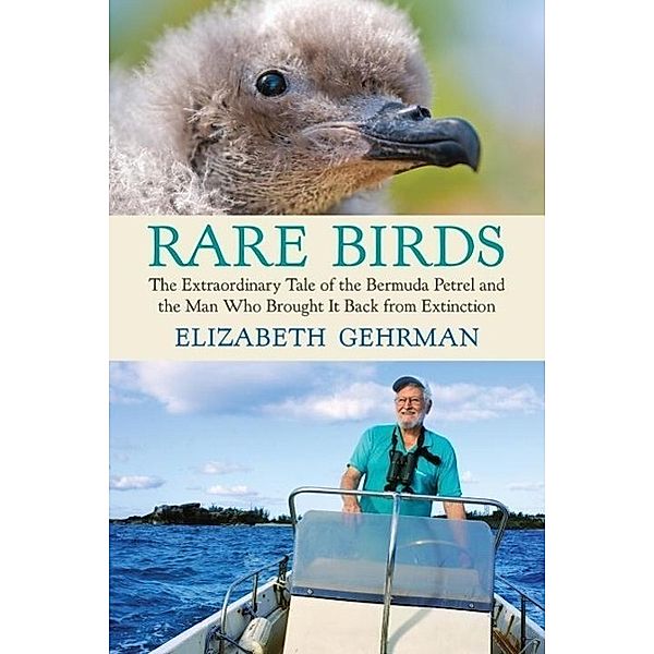 Rare Birds, Elizabeth Gehrman