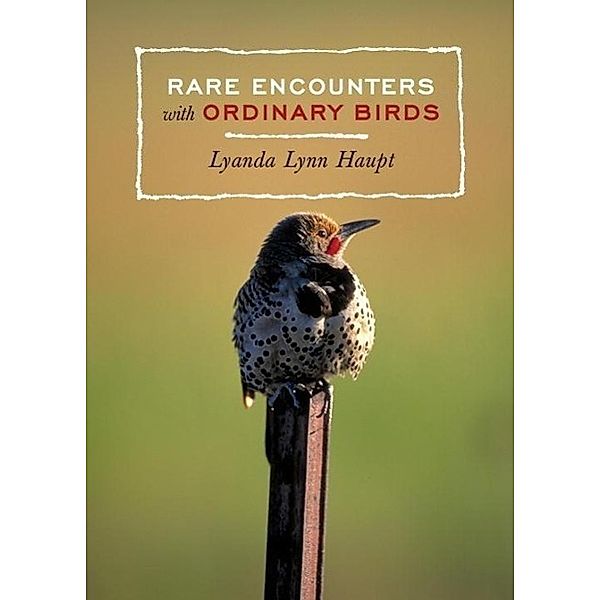 Rare Encounters with Ordinary Birds, Lyanda Lynn Haupt