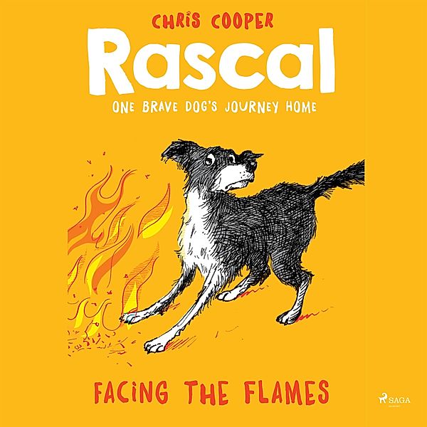 Rascal - 4 - Facing the Flames - Rascal 4 (Unabridged), Chris Cooper