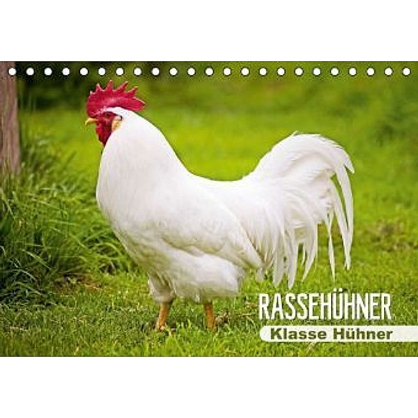 Rassehühner Klasse Hühner (Tischkalender 2015 DIN A5 quer), Calvendo