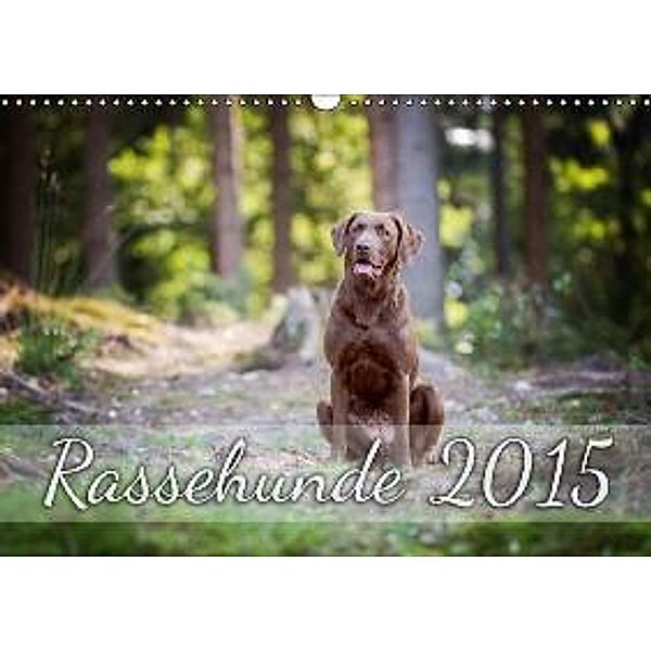 Rassehunde 2015 (Wandkalender 2015 DIN A3 quer), Nicole Noack