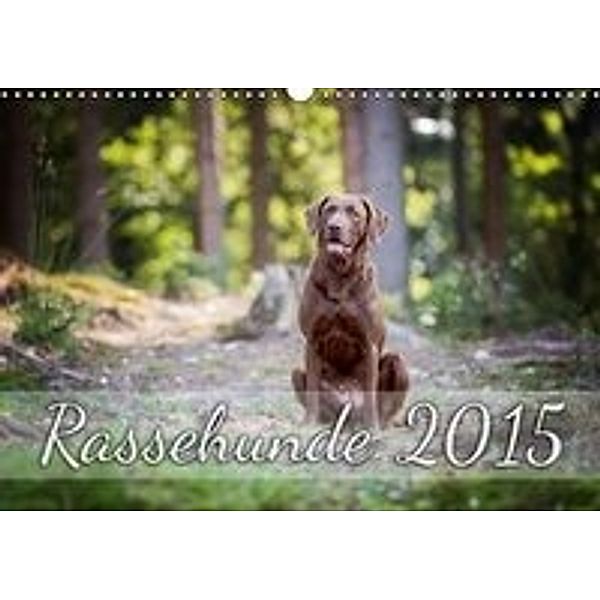 Rassehunde 2016 (Wandkalender 2016 DIN A3 quer), Nicole Noack