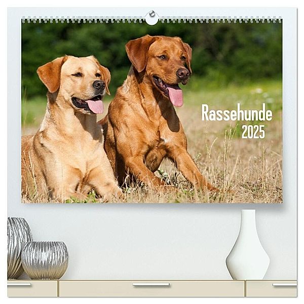 Rassehunde (hochwertiger Premium Wandkalender 2025 DIN A2 quer), Kunstdruck in Hochglanz, Calvendo, Judith dzierzawa