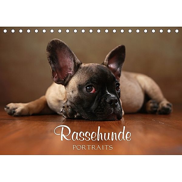 Rassehunde Portraits (Tischkalender 2018 DIN A5 quer) Dieser erfolgreiche Kalender wurde dieses Jahr mit gleichen Bilder, Jana Behr