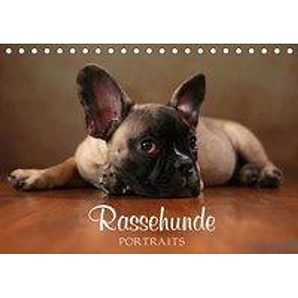 Rassehunde Portraits (Tischkalender 2020 DIN A5 quer), Jana Behr