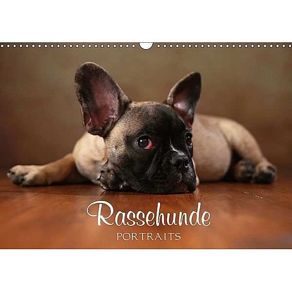 Rassehunde Portraits (Wandkalender 2018 DIN A3 quer) Dieser erfolgreiche Kalender wurde dieses Jahr mit gleichen Bildern, Jana Behr