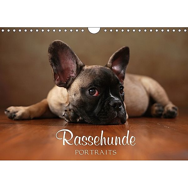 Rassehunde Portraits (Wandkalender 2018 DIN A4 quer) Dieser erfolgreiche Kalender wurde dieses Jahr mit gleichen Bildern, Jana Behr