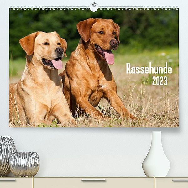 Rassehunde (Premium, hochwertiger DIN A2 Wandkalender 2023, Kunstdruck in Hochglanz), Judith dzierzawa