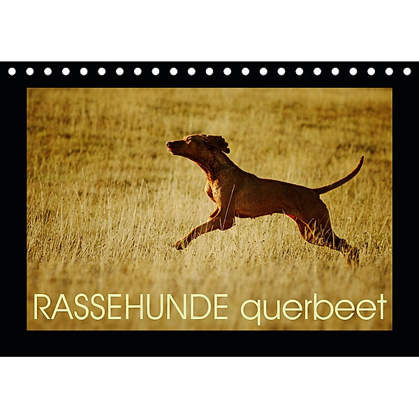 RASSEHUNDE querbeet (Tischkalender 2019 DIN A5 quer), Kathrin Köntopp