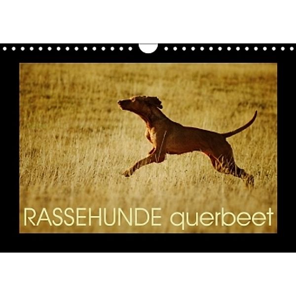 RASSEHUNDE querbeet (Wandkalender 2015 DIN A4 quer), Kathrin Köntopp