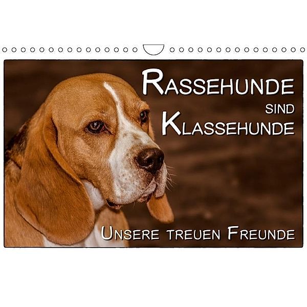 Rassehunde sind Klassehunde (Wandkalender 2017 DIN A4 quer), Dieter Gödecke