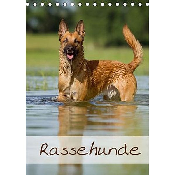 Rassehunde (Tischkalender 2015 DIN A5 hoch), Nicole Noack