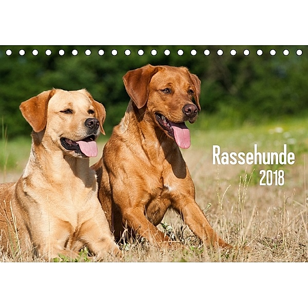Rassehunde (Tischkalender 2018 DIN A5 quer), Judith Dzierzawa