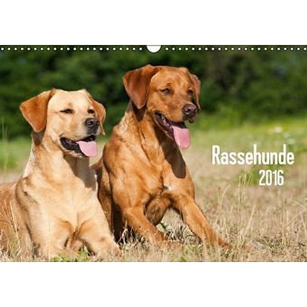 Rassehunde (Wandkalender 2016 DIN A3 quer), Judith Dzierzawa