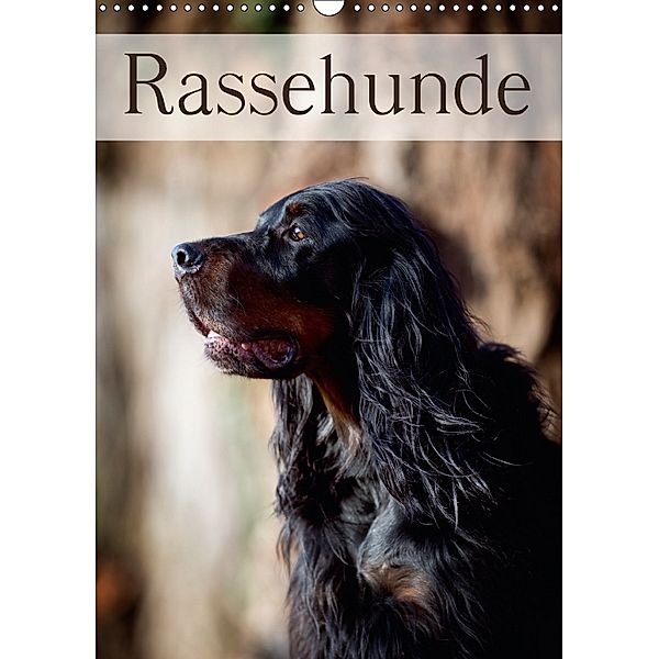 Rassehunde (Wandkalender 2018 DIN A3 hoch), Nicole Noack