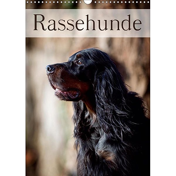 Rassehunde (Wandkalender 2021 DIN A3 hoch), Nicole Noack