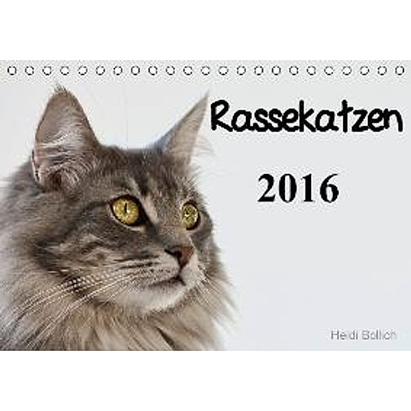 Rassekatzen 2016 (Tischkalender 2016 DIN A5 quer), Heidi Bollich