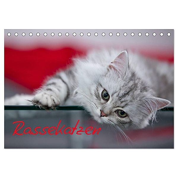 Rassekatzen (Tischkalender 2024 DIN A5 quer), CALVENDO Monatskalender, Melanie Viola