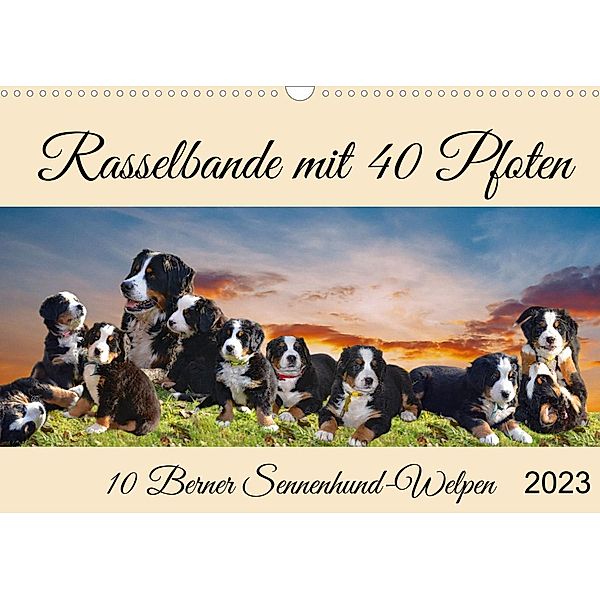 Rasselbande mit 40 Pfoten (Wandkalender 2022 DIN A3 quer), Claudia Kleemann