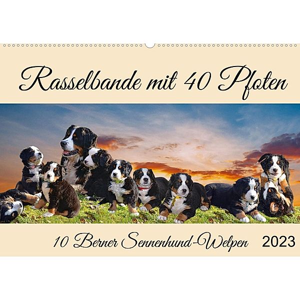 Rasselbande mit 40 Pfoten (Wandkalender 2023 DIN A2 quer), Claudia Kleemann