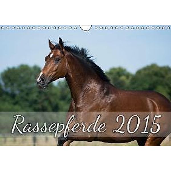 Rassepferde 2015 (Wandkalender 2015 DIN A4 quer), Nicole Noack