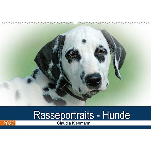 Rasseportraits - Hunde Wandkalender 2023 DIN A2 quer - Kalender bestellen