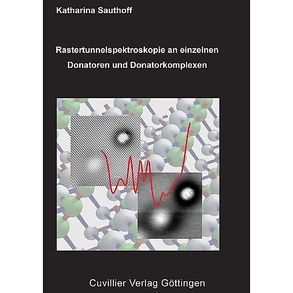 Rastertunnelspektroskopie an einzelnen Donatoren und Donatorkomplexen nahe der GaAs(110)-Oberfläche