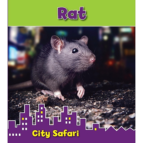 Rat / Raintree Publishers, Isabel Thomas