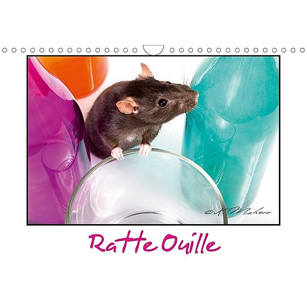Ratte Ouille (Calendrier mural 2021 DIN A4 horizontal), Kathy Mahevo