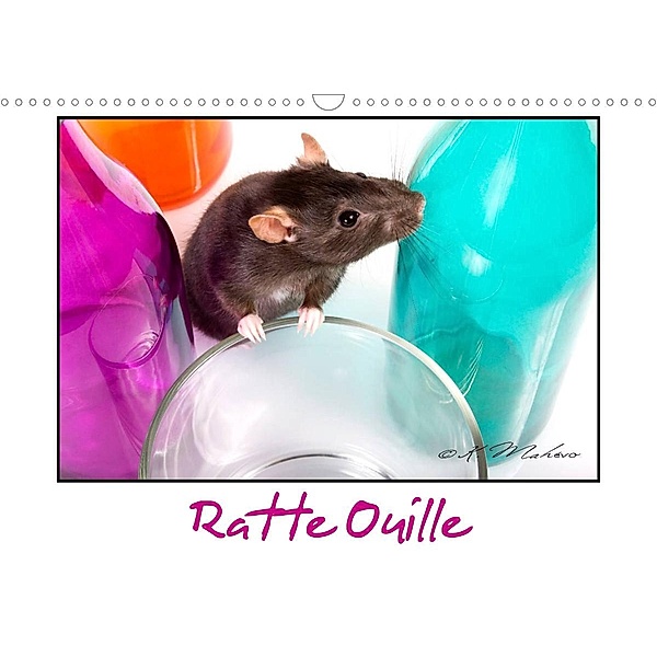 Ratte Ouille (Calendrier mural 2023 DIN A3 horizontal), Kathy mahevo