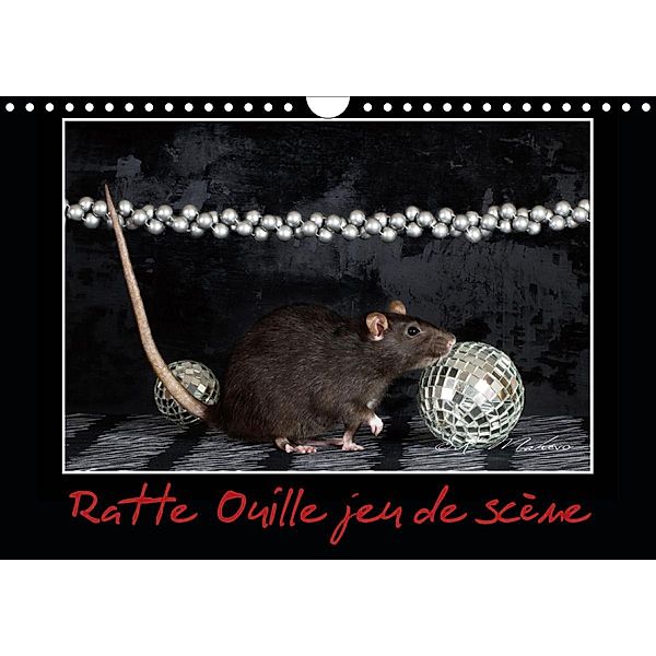 Ratte Ouille jeu de scène (Calendrier mural 2021 DIN A4 horizontal), Kathy Mahevo