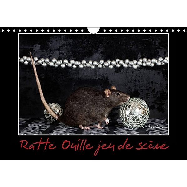 Ratte Ouille jeu de scène (Calendrier mural 2023 DIN A4 horizontal), Kathy mahevo